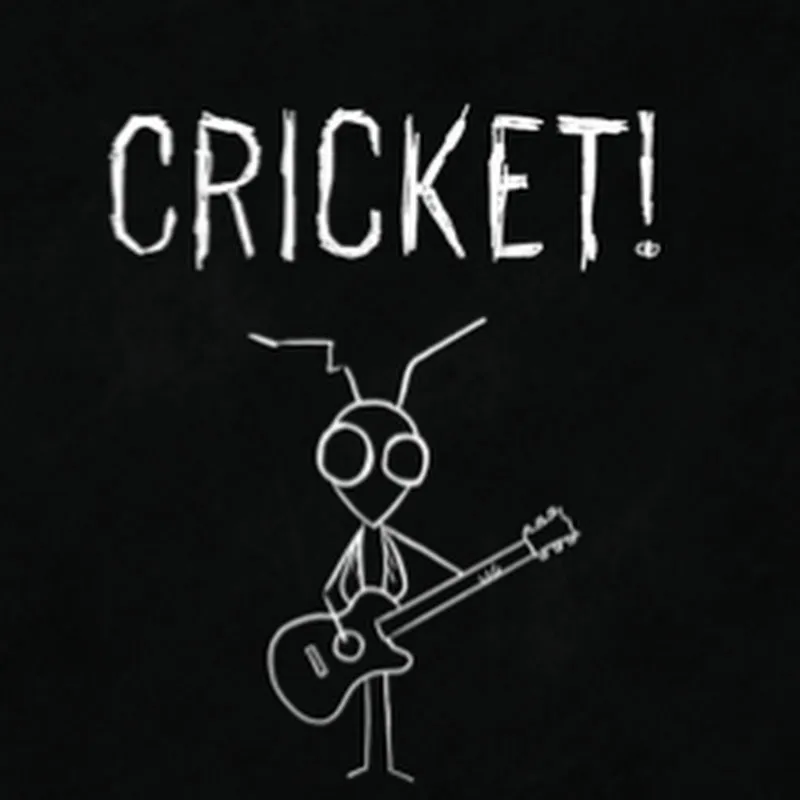 Cricket!
