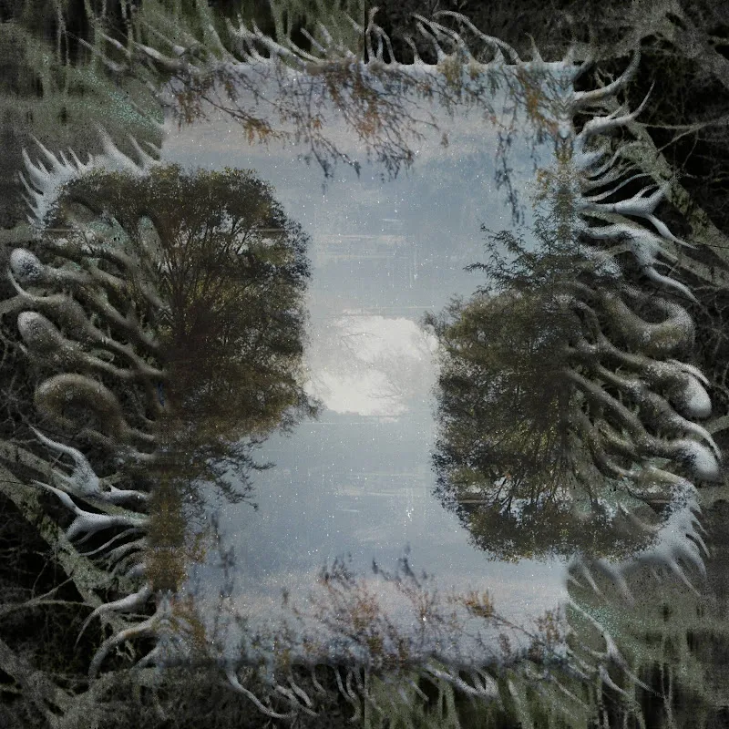 See the fish - Topic