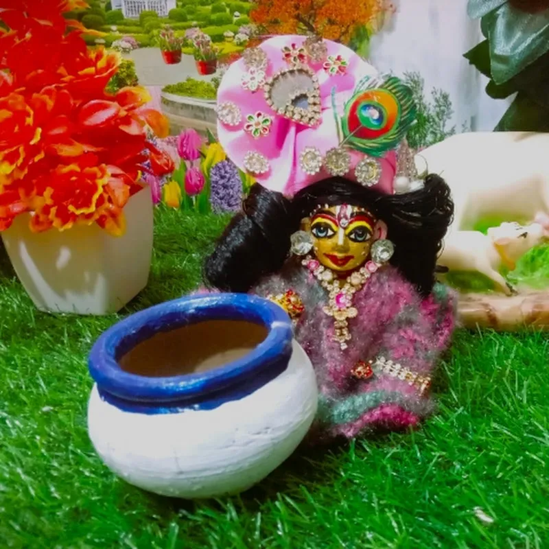 MERE LADDU GOPAL 💜 
