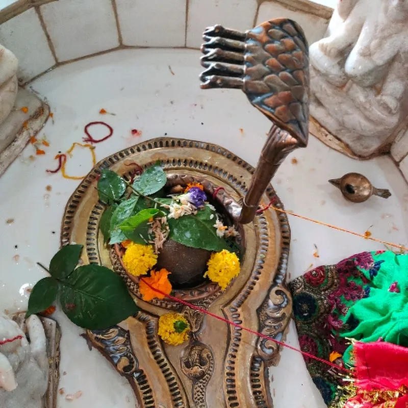 Somnath Dham Budhpur Official 