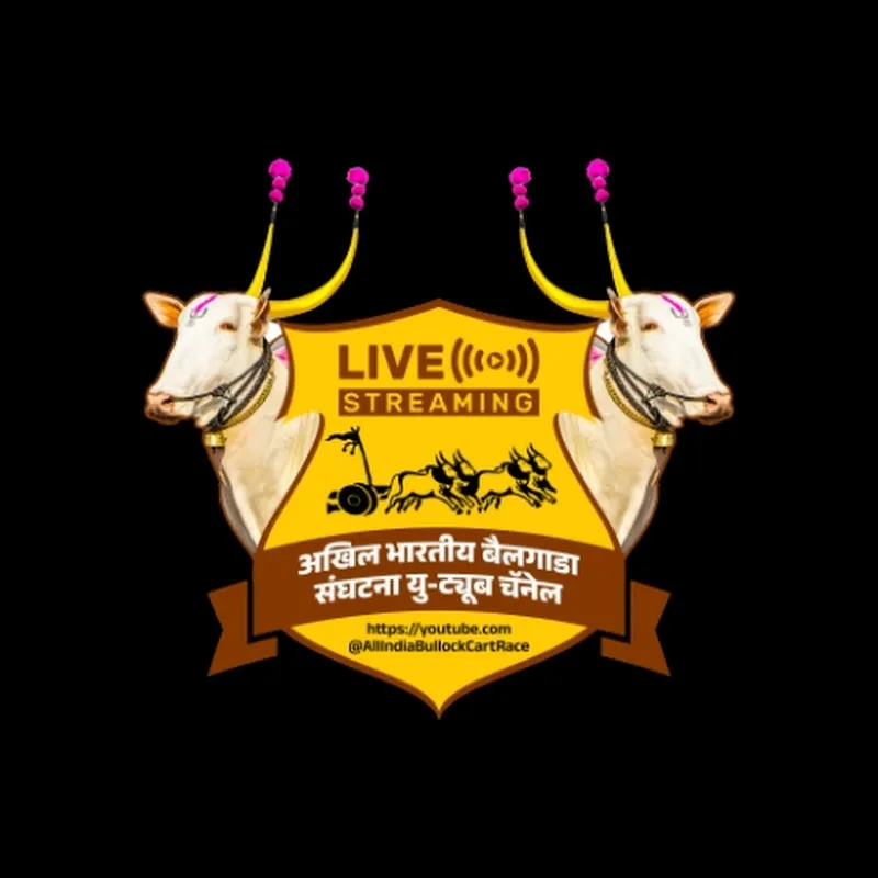 अखिल भारतीय बैलगाडा संघटना