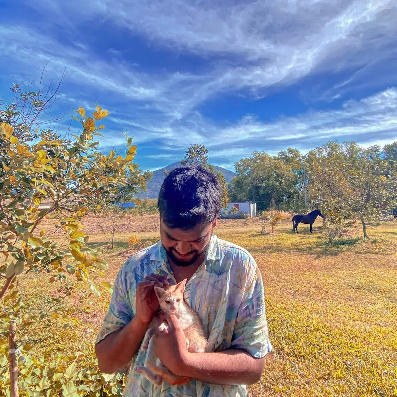 Macaque Healing Music